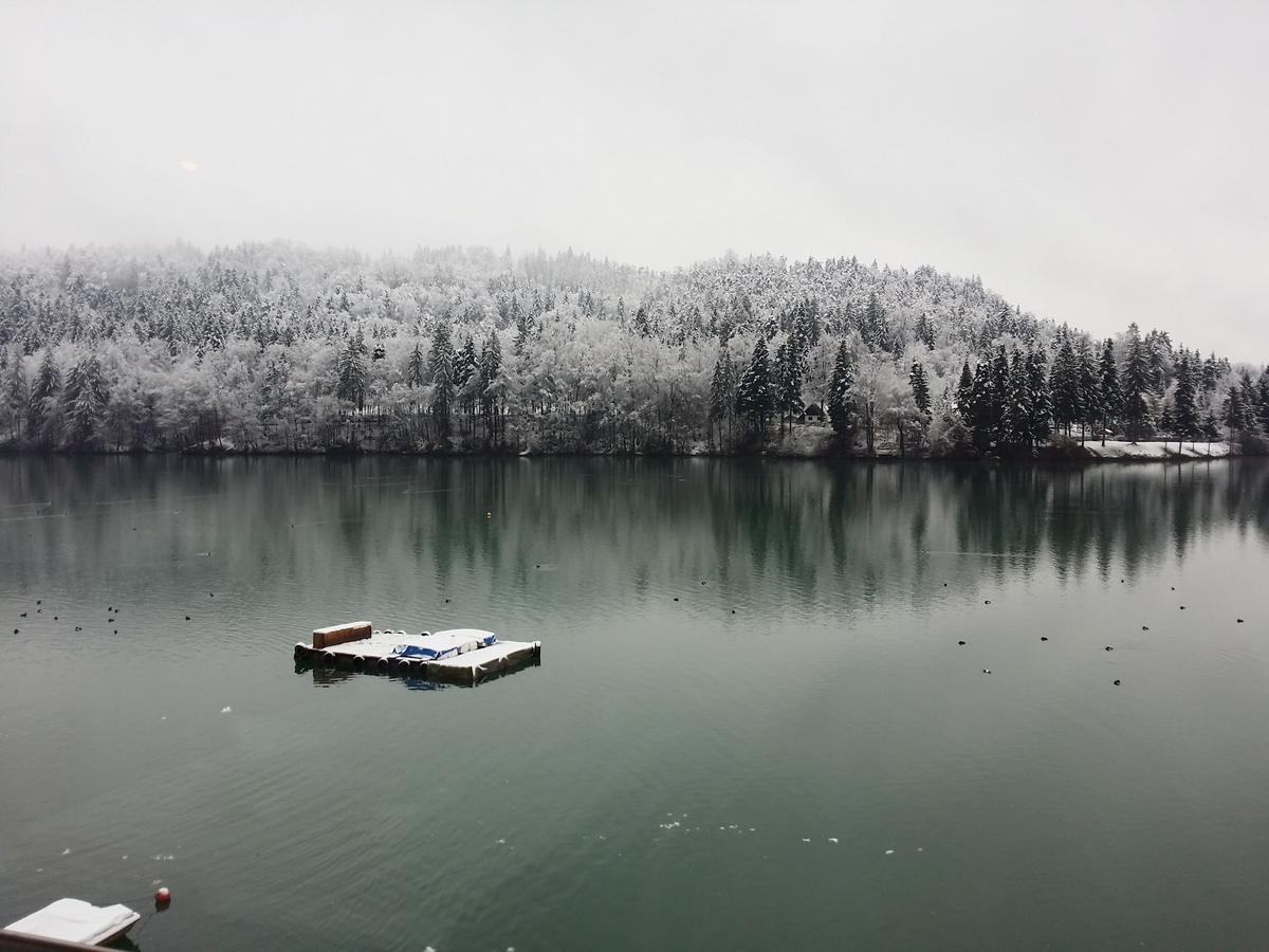 Bed and Breakfast Gostisce Jezero Medvode Zewnętrze zdjęcie